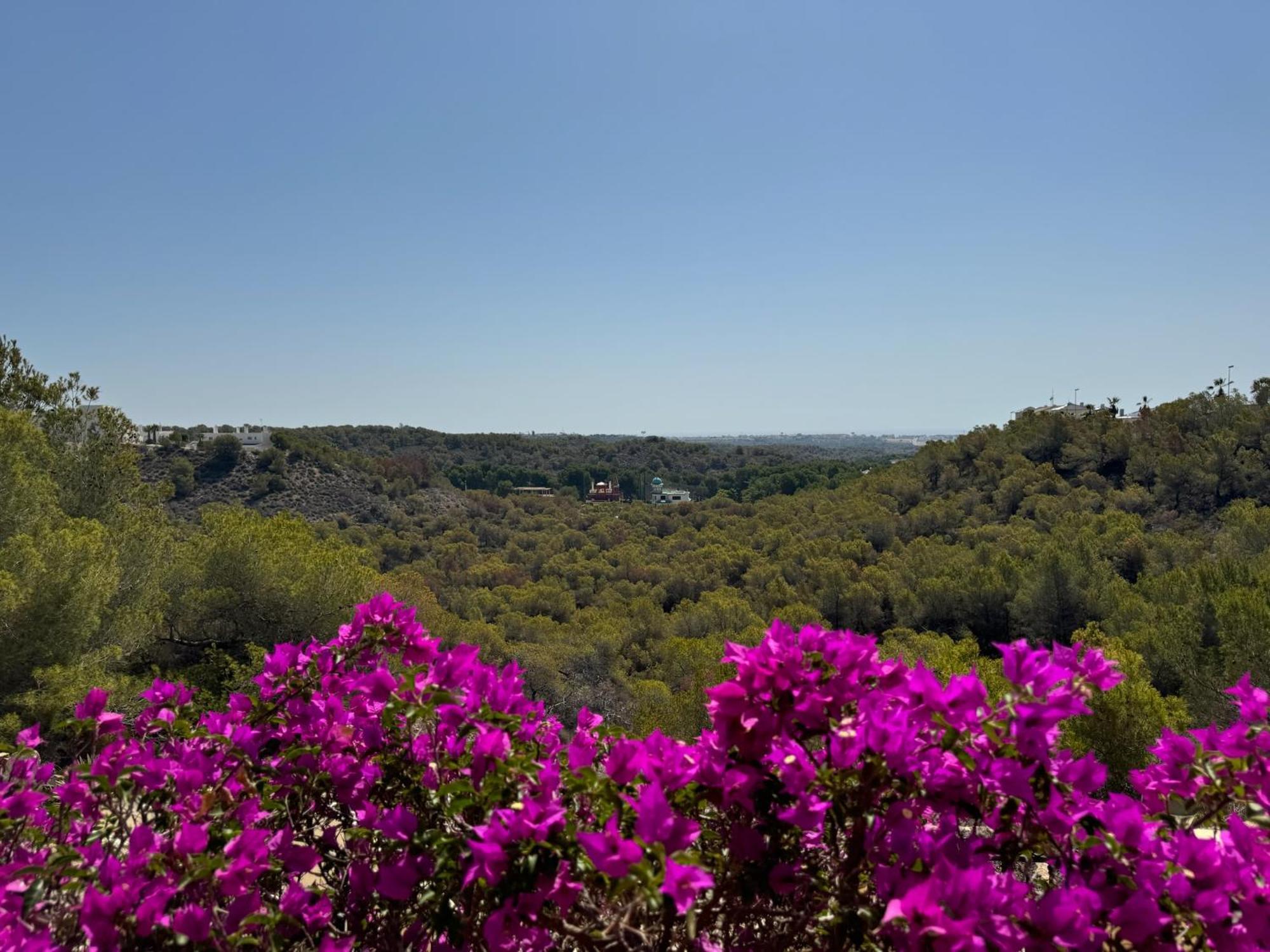 Dehesa de Campoamor  Orihuela - Las Ramblas - Casa Pino מראה חיצוני תמונה